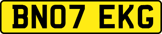 BN07EKG