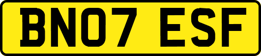 BN07ESF
