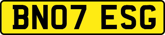 BN07ESG