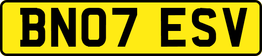 BN07ESV