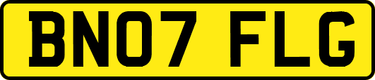 BN07FLG
