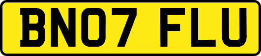 BN07FLU