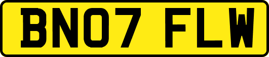 BN07FLW