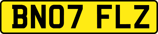 BN07FLZ