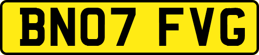 BN07FVG