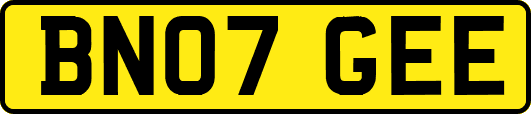 BN07GEE