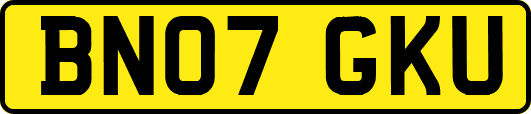 BN07GKU
