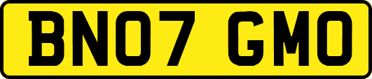 BN07GMO