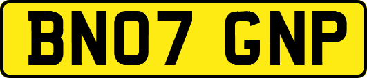 BN07GNP