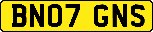 BN07GNS