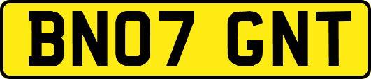 BN07GNT