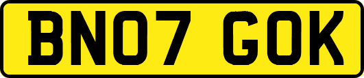 BN07GOK
