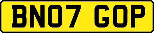 BN07GOP