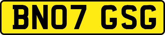 BN07GSG