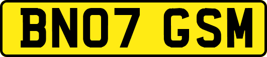 BN07GSM