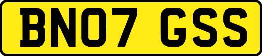 BN07GSS