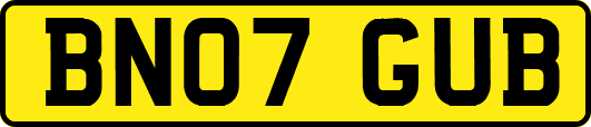 BN07GUB