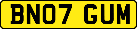 BN07GUM