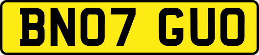 BN07GUO