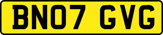 BN07GVG