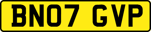 BN07GVP