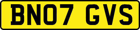 BN07GVS