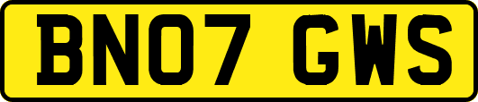 BN07GWS