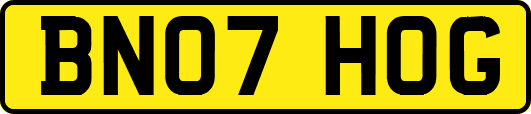 BN07HOG