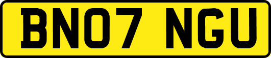 BN07NGU