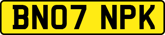 BN07NPK