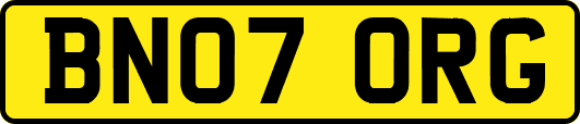 BN07ORG