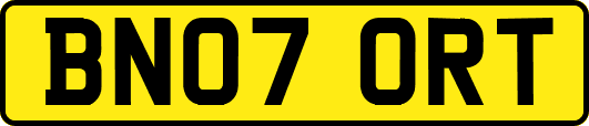 BN07ORT