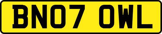 BN07OWL