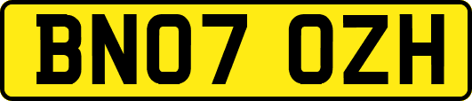 BN07OZH
