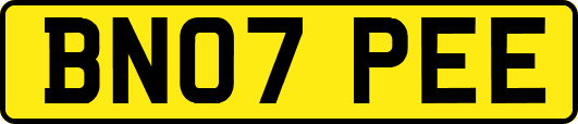 BN07PEE