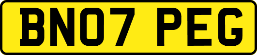 BN07PEG