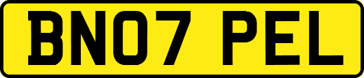BN07PEL