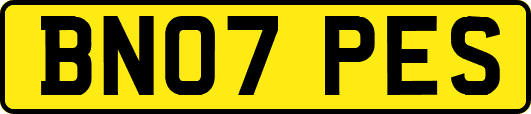 BN07PES