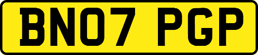 BN07PGP