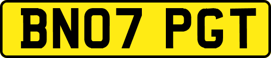 BN07PGT