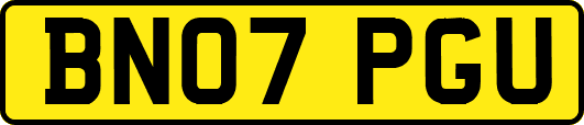 BN07PGU