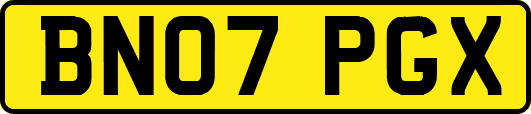 BN07PGX