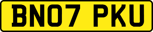 BN07PKU