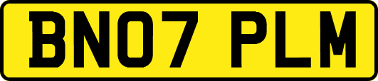BN07PLM