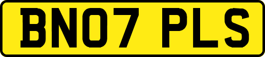 BN07PLS