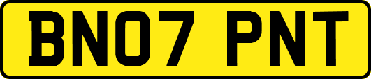 BN07PNT