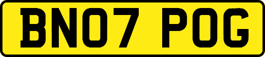 BN07POG