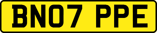 BN07PPE