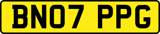 BN07PPG