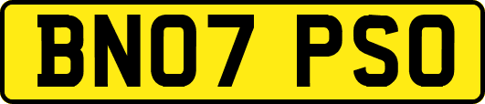 BN07PSO